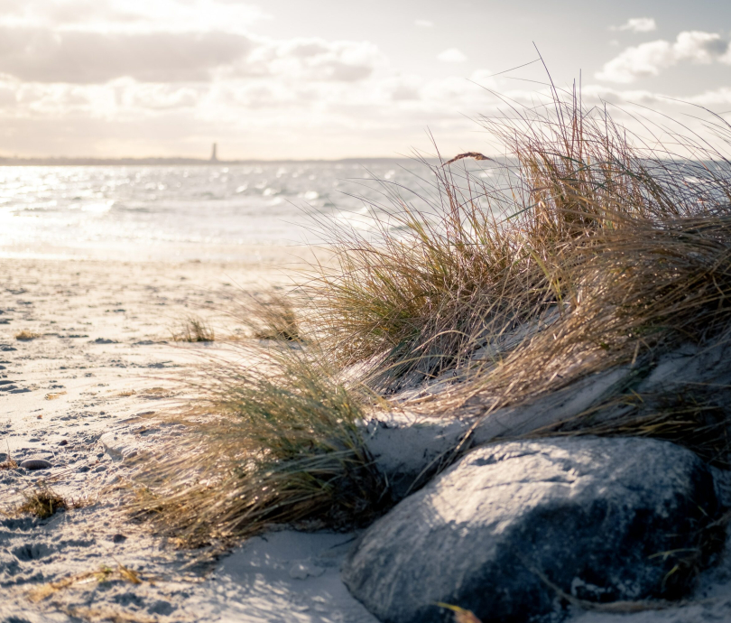 michael-held-qHmbqKnLh8I-unsplash-scaled